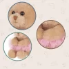 Bearington Bella Plush Ballerina Stuffed Animal Teddy Bear, 6 Inch