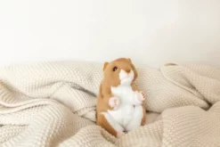 Bearington Cheeks Stuffed Hamster: Adorable Plush Stuffed Hammy, Ultra-Soft 6 Toy